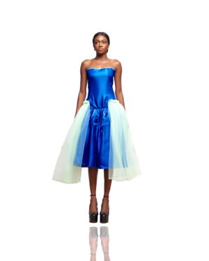 Tulle Panel Satin Dress